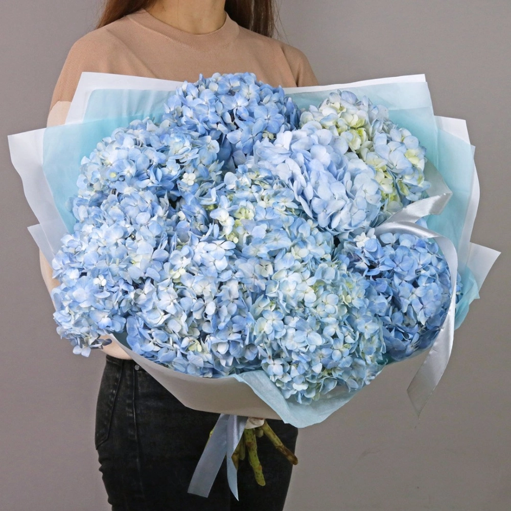 9 гортензий