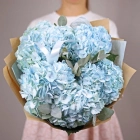 5 гортензий