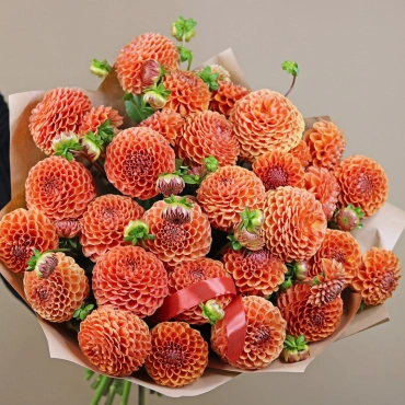 Сортовые георгины