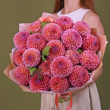 Роскошные георгины