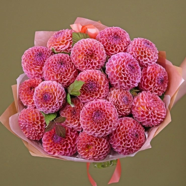 Роскошные георгины