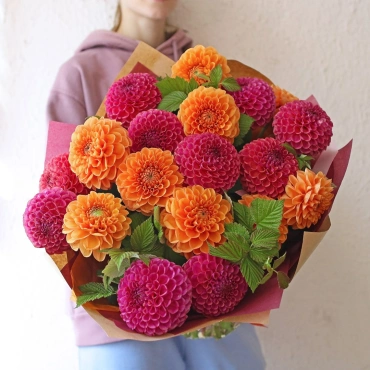 Букет цветных георгинов