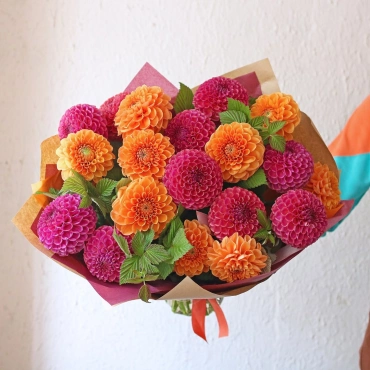 Букет цветных георгинов