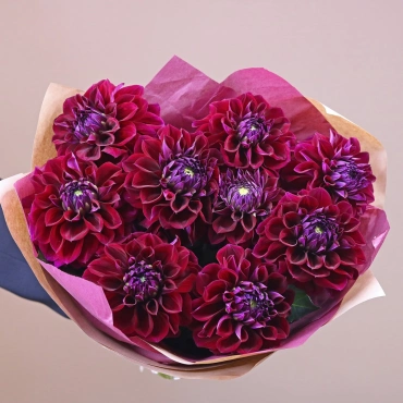 Шикарные георгины