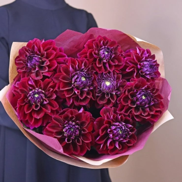 Шикарные георгины