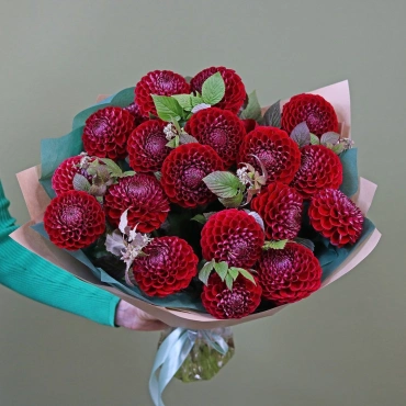 Красные георгины