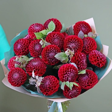 Красные георгины