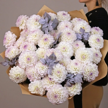 Большой букет белых георгинов