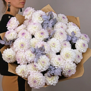 Большой букет белых георгинов