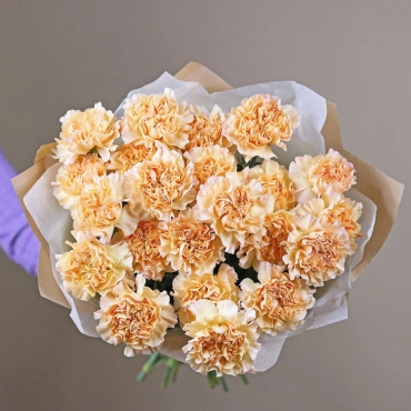 Персиковые гвоздики