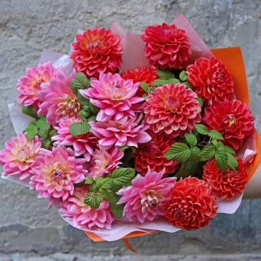 Букет разноцветных георгинов