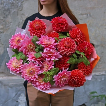 Букет разноцветных георгинов