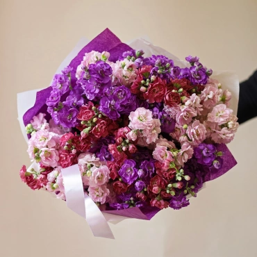 Разноцветная кустовая маттиола