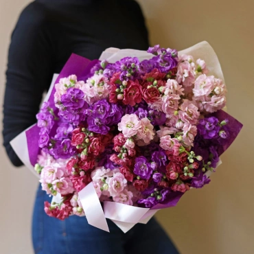 Разноцветная кустовая маттиола