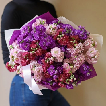 Разноцветная кустовая маттиола