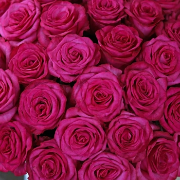 Яркие розы в коробке