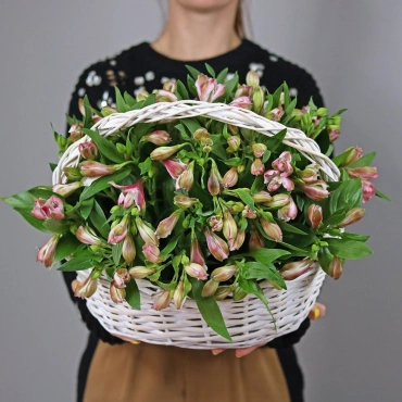 Альстромерия в корзине