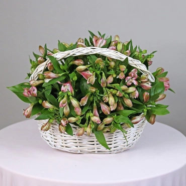 Альстромерия в корзине