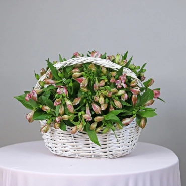 Альстромерия в корзине