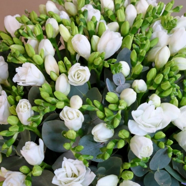 Большая коробка с фрезиями