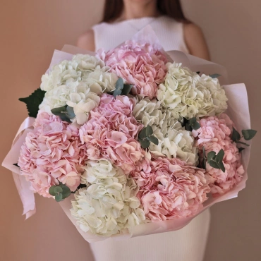 Белая и розовая гортензия