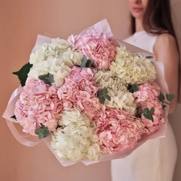 Белая и розовая гортензия