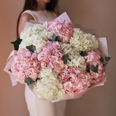 Белая и розовая гортензия