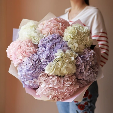 Разноцветные гортензии