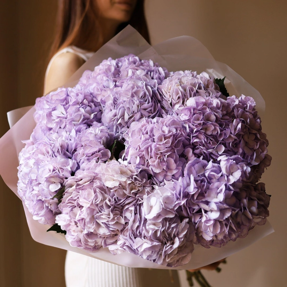 11 гортензий