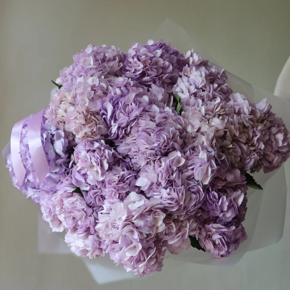 15 гортензий