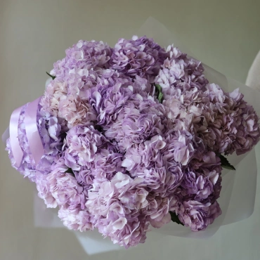 Нежно-фиолетовые гортензии