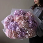 9 гортензий