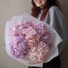 5 гортензий