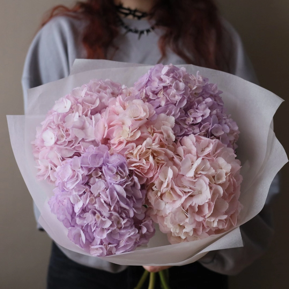 5 гортензий
