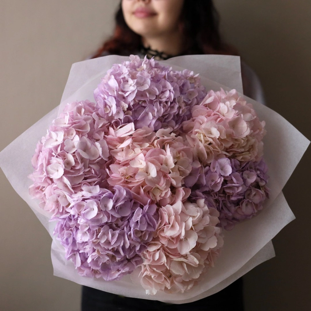 7 гортензий