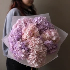 7 гортензий