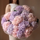 15 гортензий