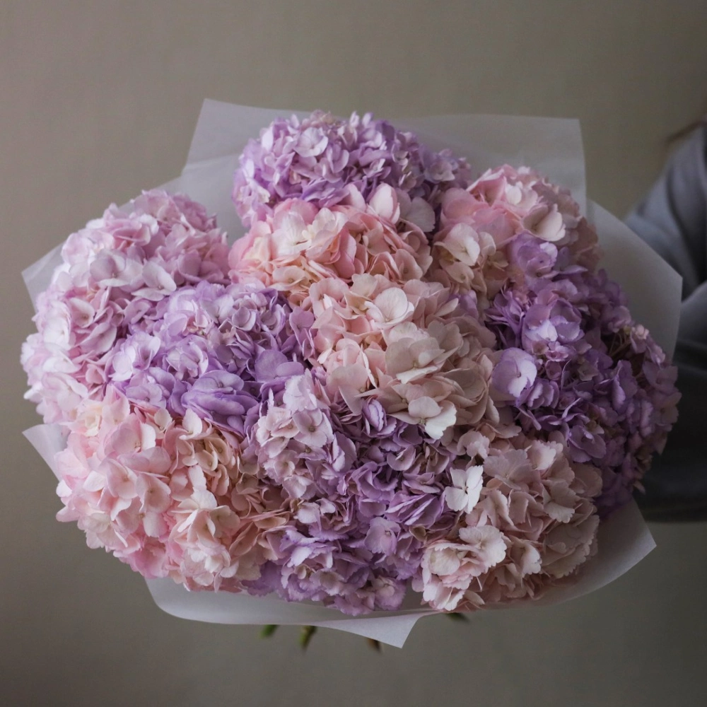 9 гортензий