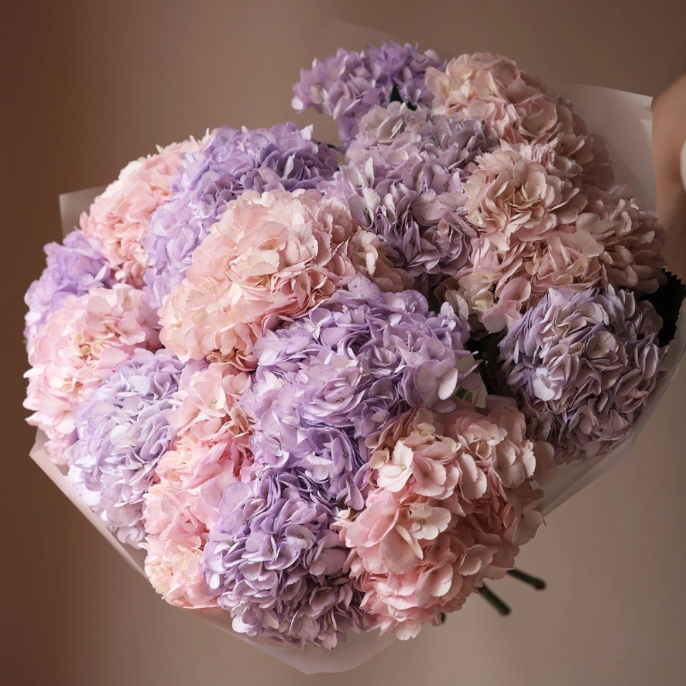 15 гортензий