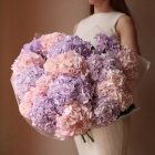 15 гортензий