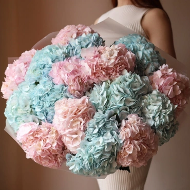 Голубая и розовая гортензия