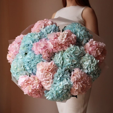 Голубая и розовая гортензия