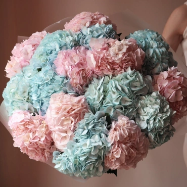 Голубая и розовая гортензия