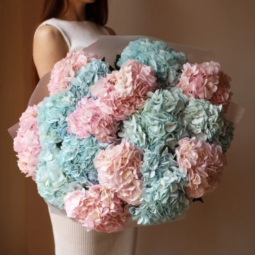 Голубая и розовая гортензия