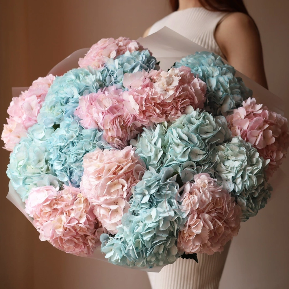 17 гортензий