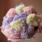 9 гортензий