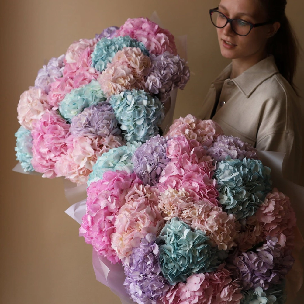 17 гортензий