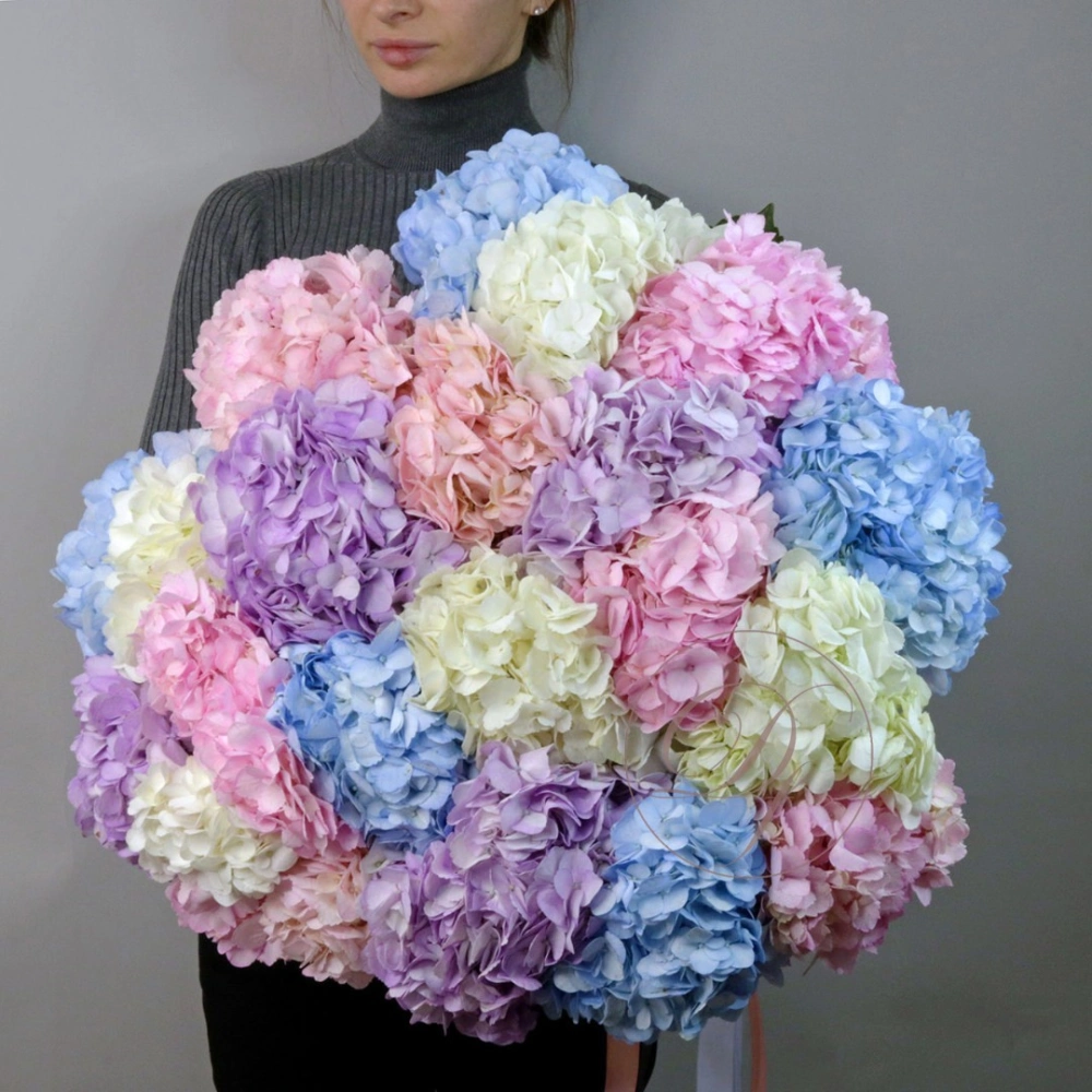 21 гортензия