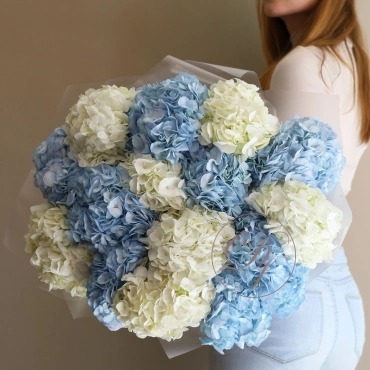 Гортензия микс