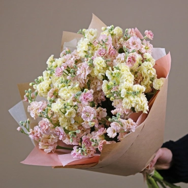 Желтая и персиковая маттиола